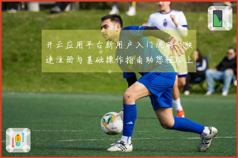 开云应用平台新用户入门说明：快速注册与基础操作指南助您轻松上手
