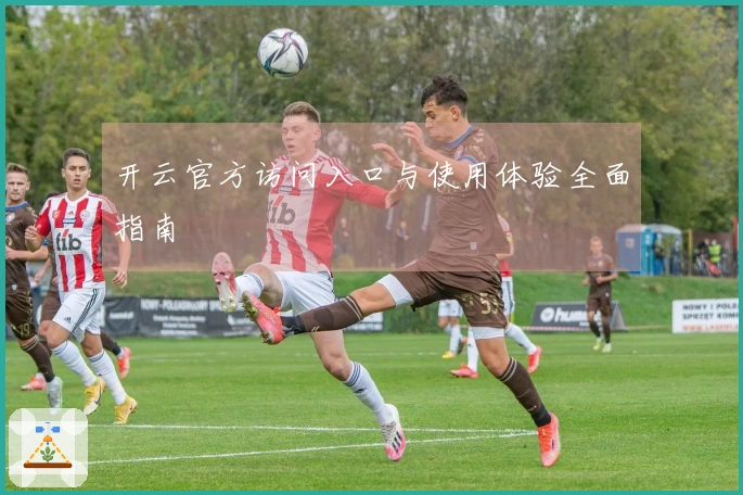 开云官方访问入口与使用体验全面指南