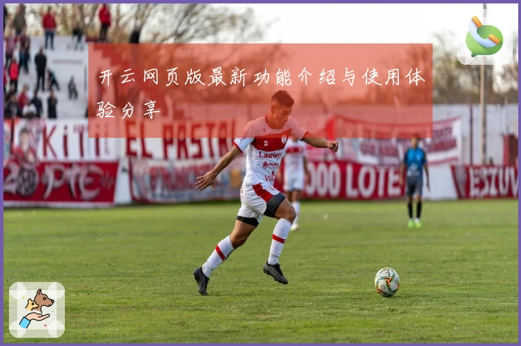 开云网页版最新功能介绍与使用体验分享