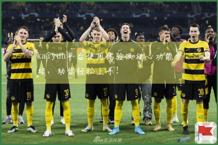 kaiyun平台使用体验及核心功能介绍，助你轻松上手！